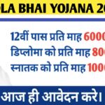 Maharashtra Ladla Bhai Yojana 2024 Apply Form Required Eligibility : महाराष्ट्र सरकार ले आई लाडला भाई योजना 2024